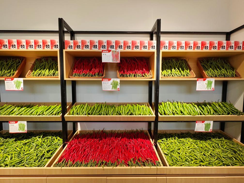 微信图片_20241129093409.wm.jpg 微信图片_20241129093409.wm.jpg